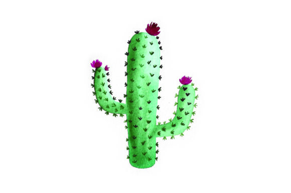 Cactus - Watercolor: A Mexican-Inspired Design Asset for Modern Branding