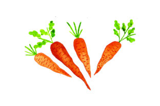 Carrots Watercolor Embroidery Design