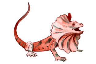 Frill Neck Lizard in Watercolor Style