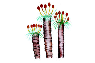 Kingia in Watercolor Style: A Soothing Embroidery Design for Real Projects