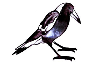 Magpie in Watercolor Style Embroidery Design Review