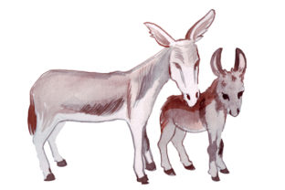 Mom and Baby Donkeys in Watercolor Style: A Versatile Animal Graphic for Digital Sellers