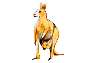 Mom and Baby Kangaroos in Watercolor Style: A Versatile Animal Graphic for Digital Sellers