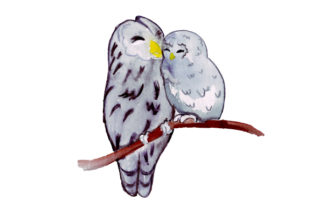 Mom and Baby Owls in Watercolor Style: A Versatile Graphic Design Asset for Animal-Themed Content
