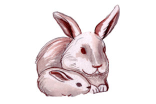 Mom and Baby Rabbits in Watercolor Style: A Versatile Animal Graphic for Branding