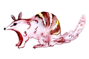 Numbat in Watercolor Style: A Unique Australian Design Asset for Creative Projects