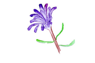Pixie Mops in Watercolor Style: A Versatile Design for Australian Sellers