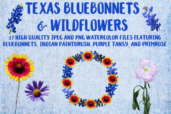 Texas Bluebonnets Wildflowers: A Decorative Graphic Design Asset for Crafters