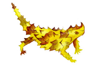 Thorny Devil in Watercolor Style: A Unique Graphic Design Asset for Australian Small Businesses