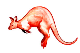 Wallaby in Watercolor Style and Australia