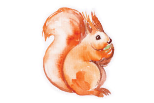Watercolour Squirrel Embroidery Design Review